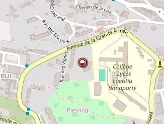 Carte de Taxis Rustarucci à Ajaccio