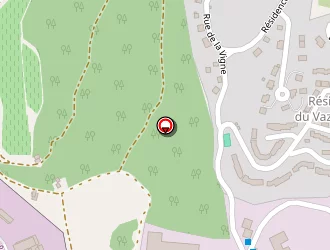 Carte de Corse Iso Peint à Ajaccio