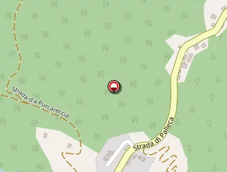 Carte de U Mezzanu à Cozzano