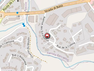 Carte de Pro Secrétariat à Ajaccio