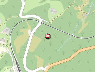 Carte de L'oiseau Plume à Vivario