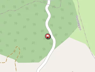 Carte de Mairie à Pancheraccia