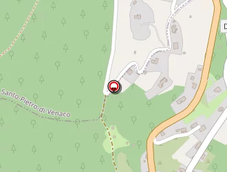 Carte de Ferrelli Michel à Venaco