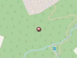 Carte de Filhol Bertrand à Évisa