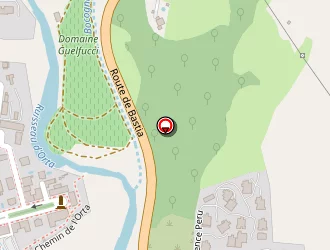 Carte de C.v. Immobilier à Corte