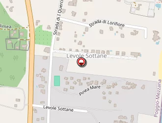 Carte de Vertiges Fleurs à Poggio-mezzana