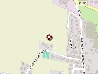 Carte de Coronil Yannick à Palau-de-cerdagne