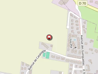 Carte de Codiaz à Palau-de-cerdagne