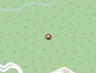 Carte de Ginesy Alain à Taglio-isolaccio