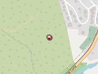 Carte de Nardi Charles à Morosaglia