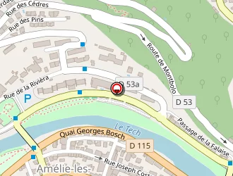 Carte de Chez Michel à Amélie-les-bains-palalda