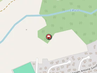 Carte de Creation Passion Fg à Moltifao