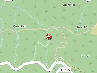 Carte de Urgence (services Locaux) à Campile