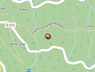 Carte de La Poste à Campile