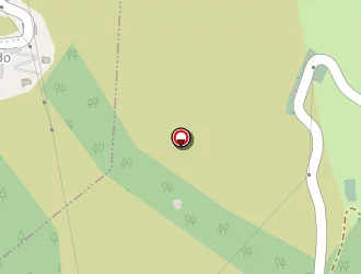 Carte de Urgence (services Locaux) à Olmo