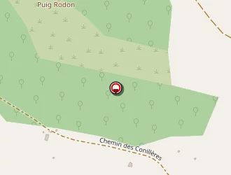 Carte de Chavanne Hervé à Céret