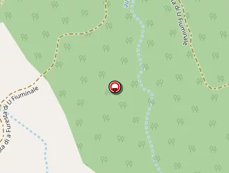 Carte de Mairie à Mausoléo