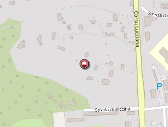 Carte de Hodost Patrick à Lucciana