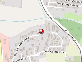 Carte de Negroni Voyages à Lucciana