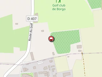 Carte de Corse Résine Polyester à Lucciana