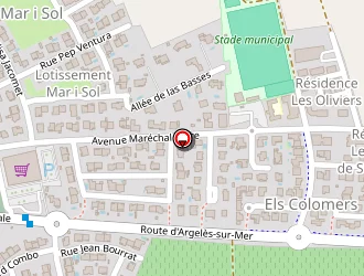 Carte de Sarda Nicolas à Saint-andré