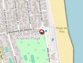 Carte de Central Windsurf à Argelès-sur-mer