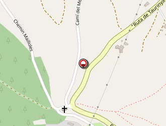 Carte de Thaon Marc Henri à Fillols