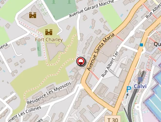 Carte de Loc Mat Service à Calvi