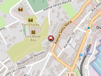 Carte de Ferrandi Jean-michel à Calvi