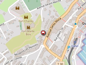 Carte de Balagne Expertise à Calvi