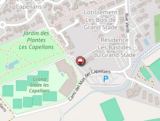 Carte de Terpreau Stéphane à Saint-cyprien