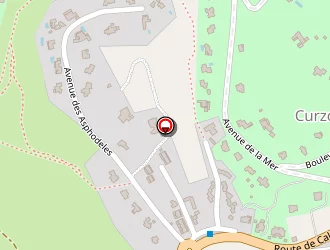 Carte de Rossi-angeletti Delphine à Corbara