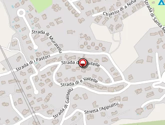 Carte de Franceschi Martine à Monticello