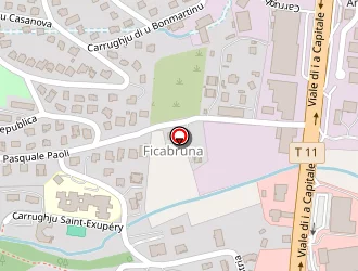 Carte de Corsica Nautic à Biguglia