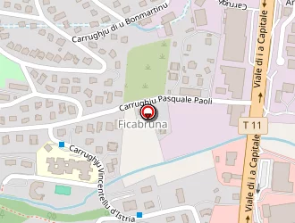 Carte de Mairie à Biguglia