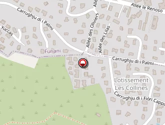 Carte de Mannu Antoine à Biguglia