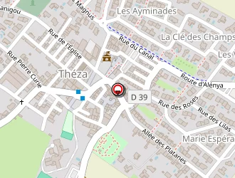 Carte de Joué Virginie à Théza