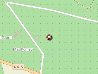 Carte de Fruiteix (earl) à Thuir