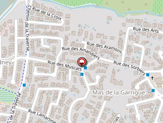 Carte de Bordignon Stéphane à Pollestres