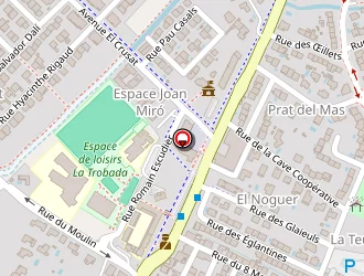 Carte de Delmas Prod à Canohès