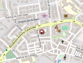 Carte de Ctm Services à Saleilles