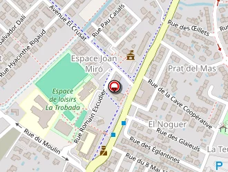 Carte de Taxi Fab à Canohès