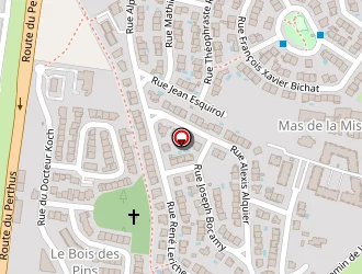 Carte de Olive Vanessa à Perpignan