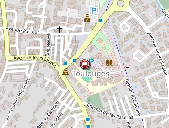 Carte de Salgan Cyril à Toulouges