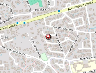 Carte de Lopez Vincent à Soler (le)