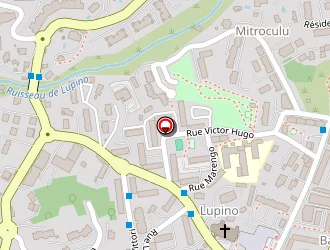 Carte de Menuti Jean à Bastia