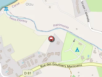 Carte de Camping D'olzo à Saint-florent