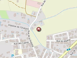 Carte de Taxi Pulpon à Pézilla-la-rivière