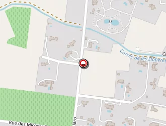 Carte de Micocoulier à Perpignan