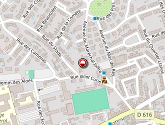 Carte de Pomarede Jean à Saint-estève